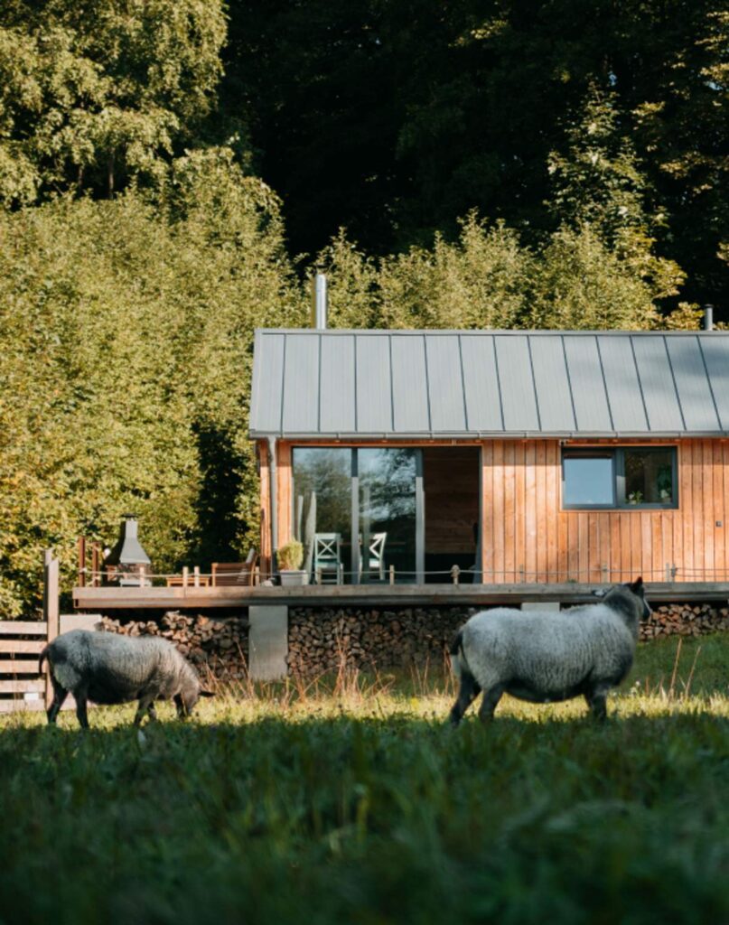 Modřínek, Jizerské domky, glamping v Jizerských horách