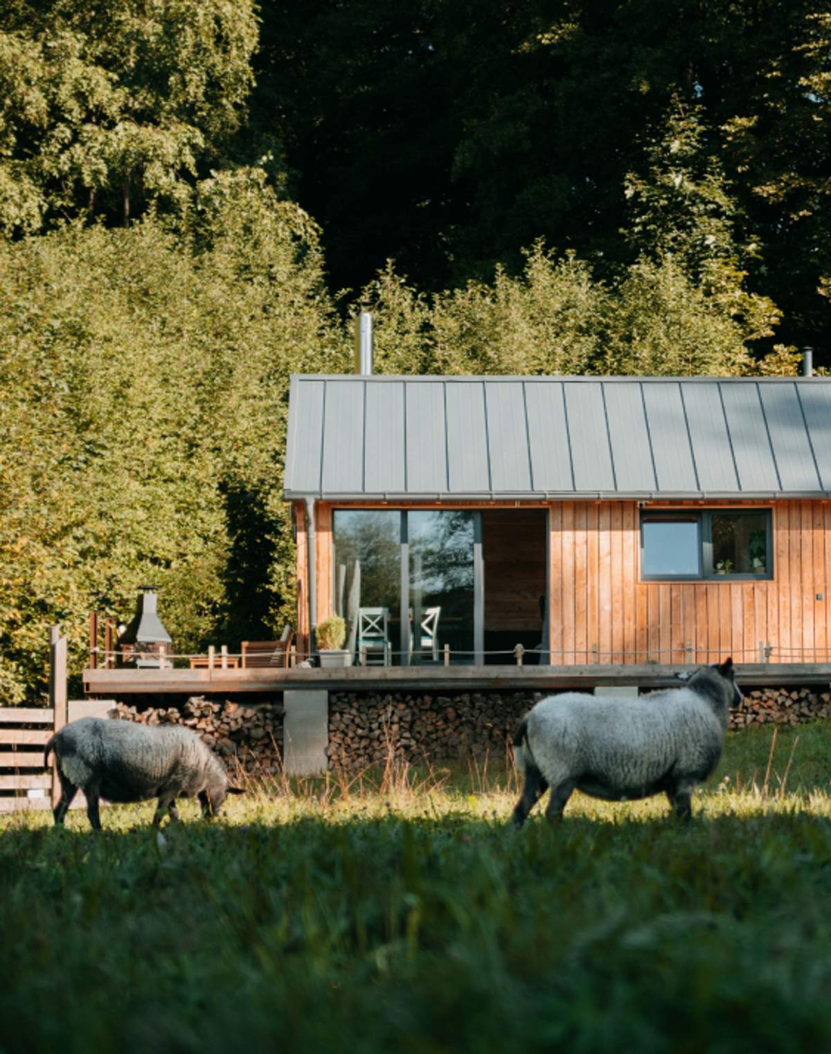Modř&iacute;nek, Jizersk&eacute; domky, glamping v Jizersk&yacute;ch hor&aacute;ch