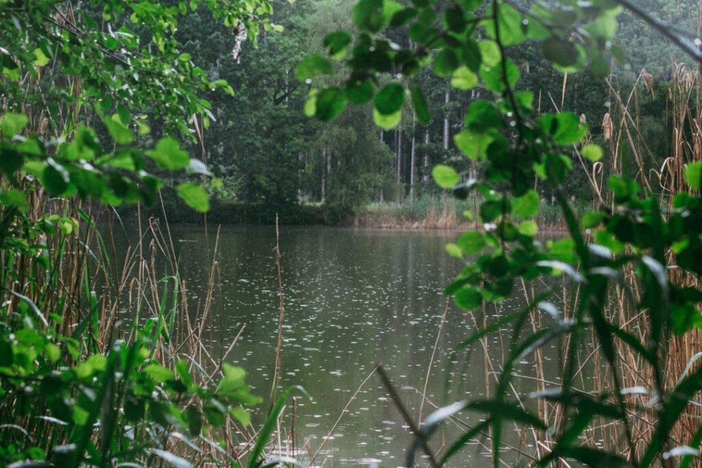 Maringotka Za Rákosím, glamping u Dvora Králové